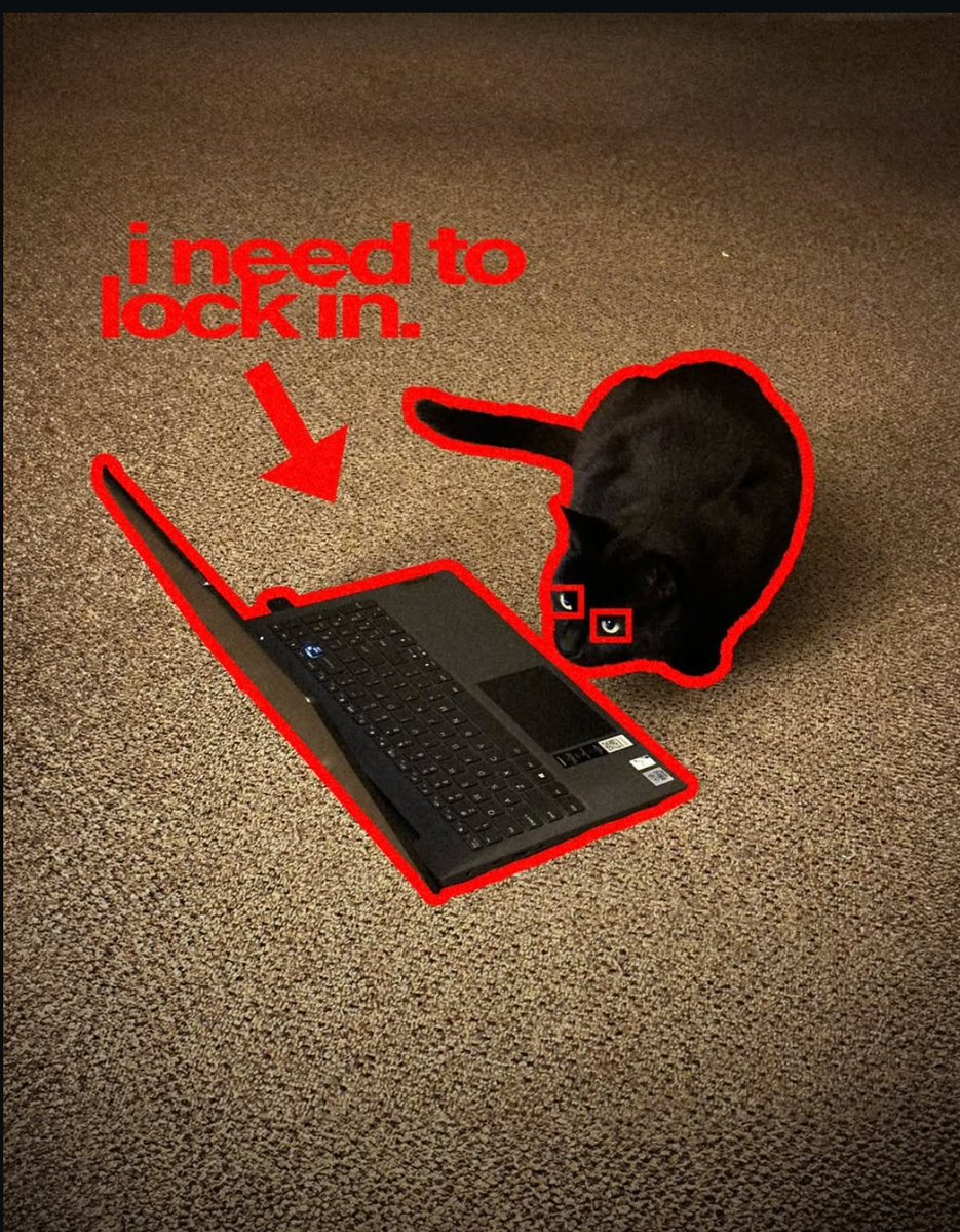 hyperporp tweet media