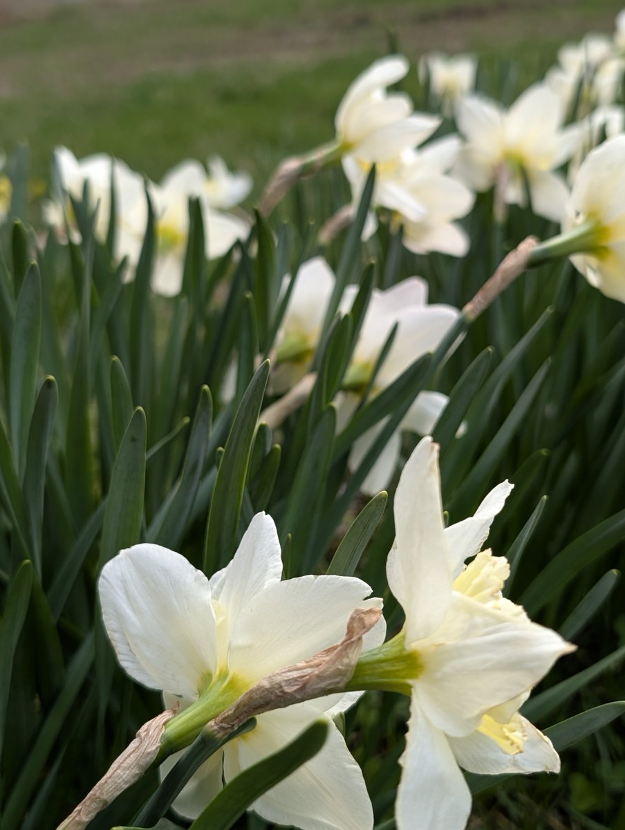 helptheair's tweet image. Air Quality is forecast to be Moderate Friday through Monday. We may see smoke effects from regional fires. #airquality #breathe #helptheair