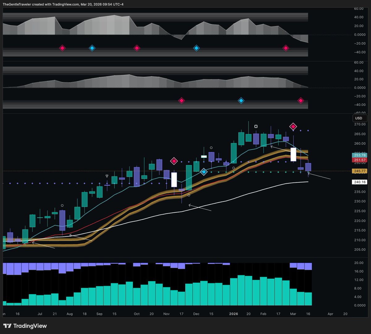 TheGentleTraveler tweet media