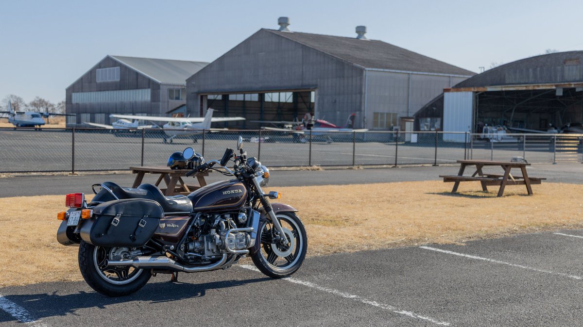 おおまさん®︎ tweet media