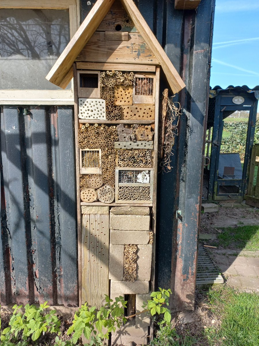 RustpuntDelagelinde tweet media