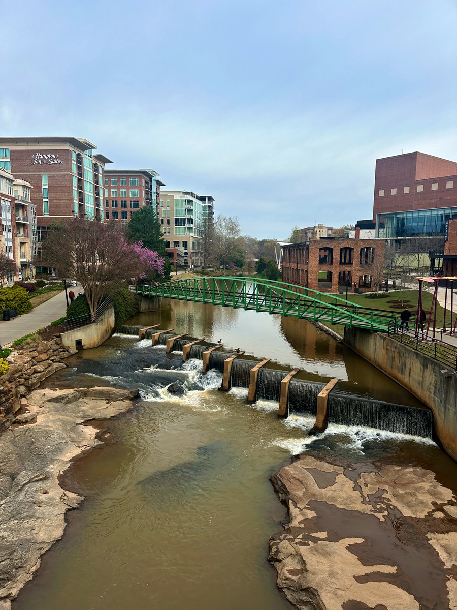 David Bradley tweet media