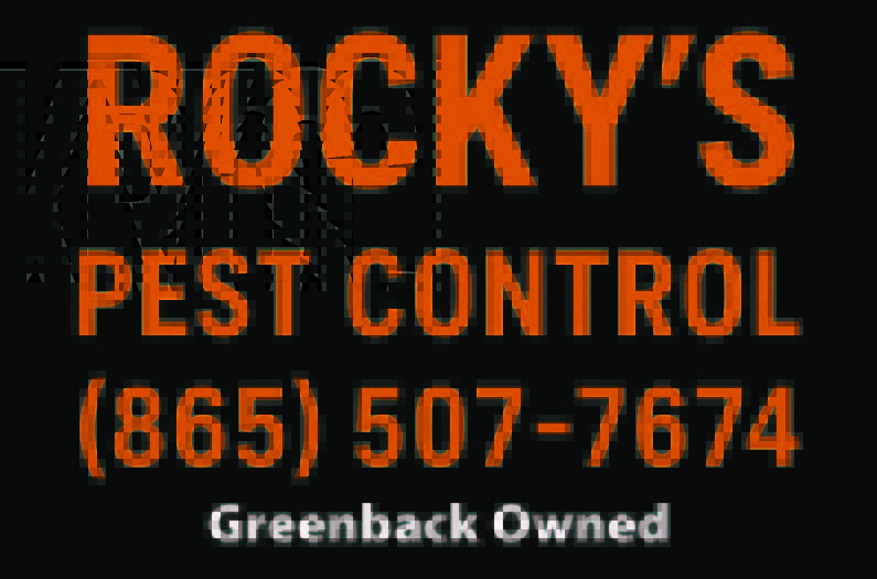 As a locally owned &amp; operated pest control company, they are dedicated to providing reliable &amp; effective services to our neighbors in Blount, Monroe, McMinn counties &amp; surrounding areas. Check out services on web https:rockyspestcontrol.net
#MadisonvilleTN #LenoirCityTN