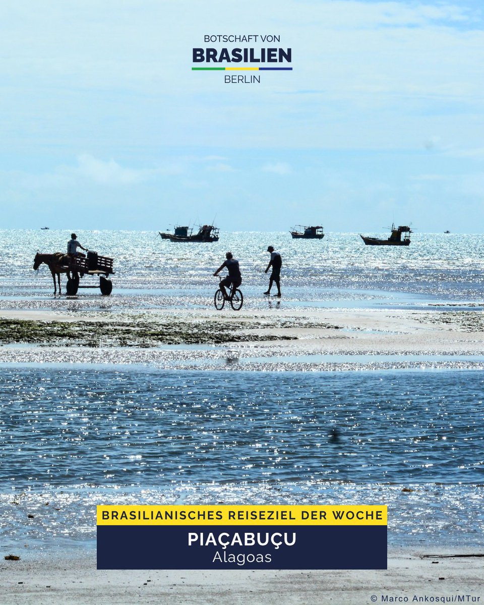 Embaixada do Brasil em Berlim tweet media