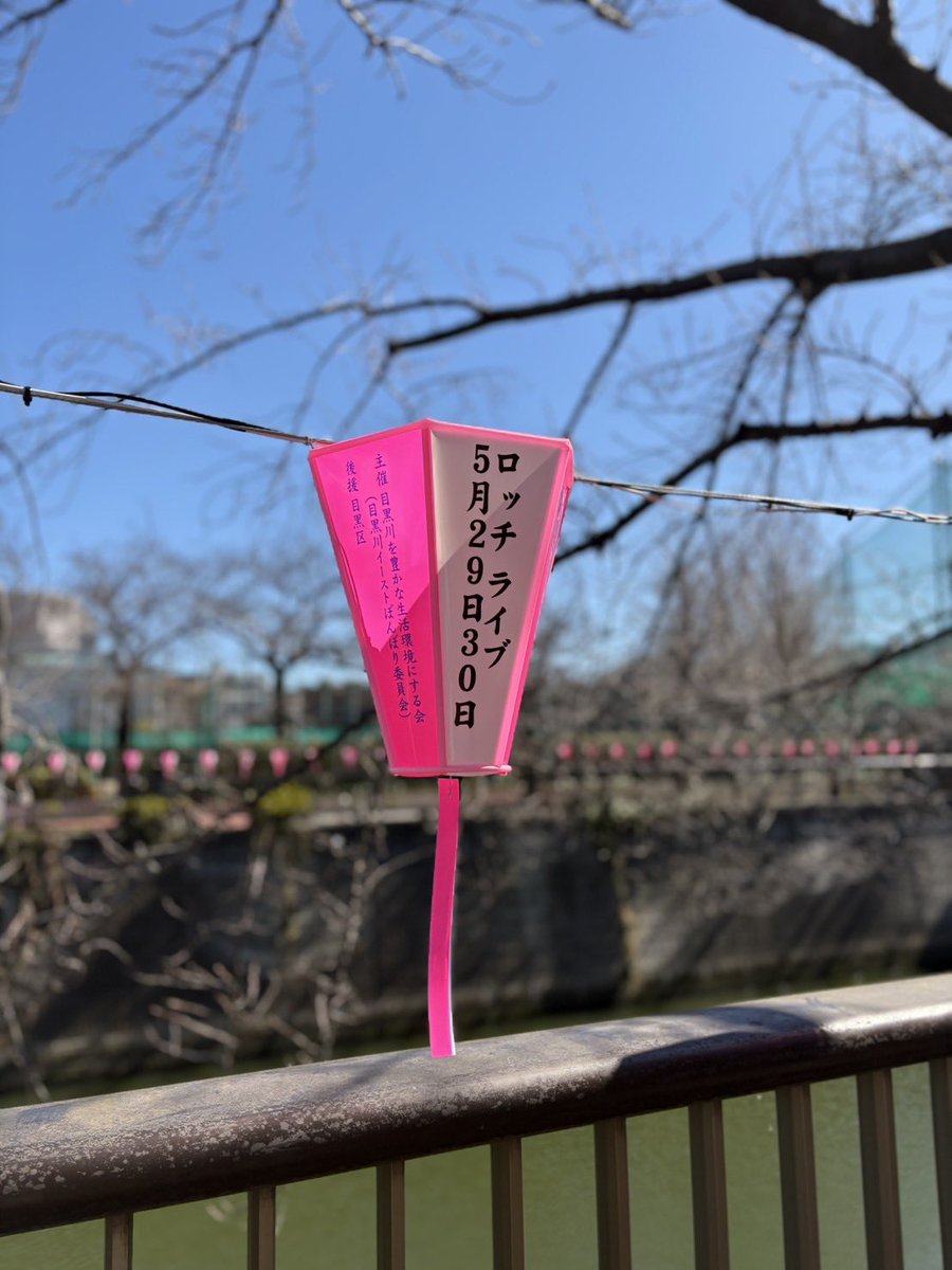 コカドケンタロウ ロッチ tweet media