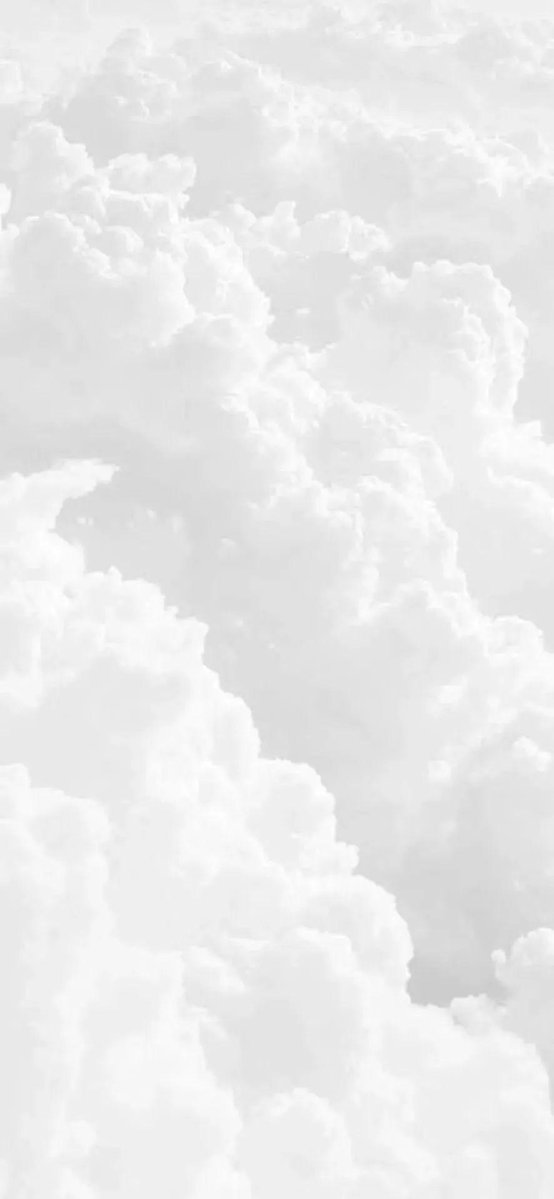 Judith williams  tweet media