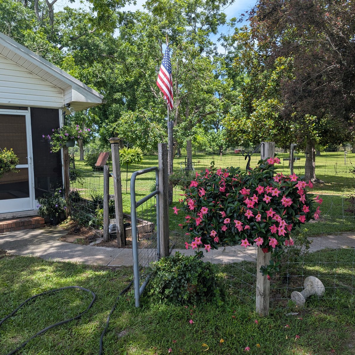 Random 🇺🇸🇺🇸 🇺🇸🇺🇸 tweet media