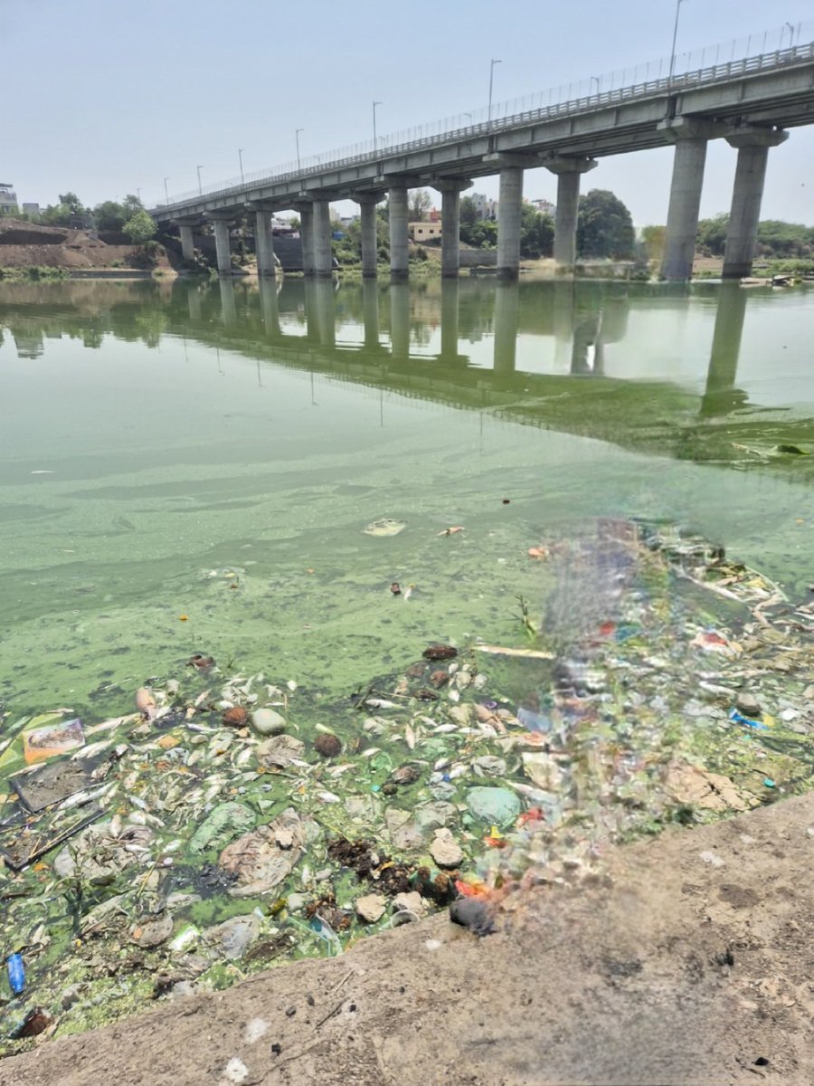 Jaymala Dhankikar tweet media