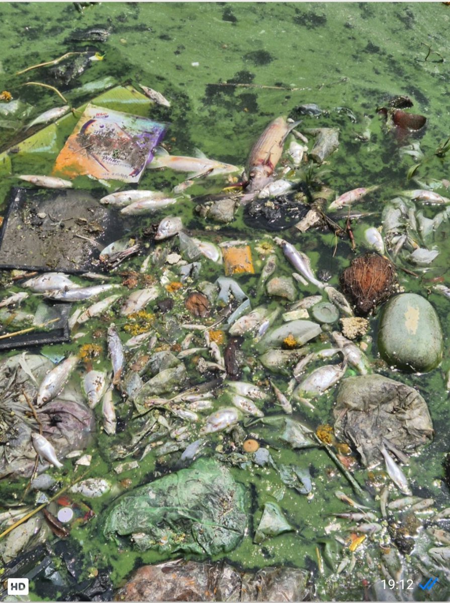 Jaymala Dhankikar tweet media