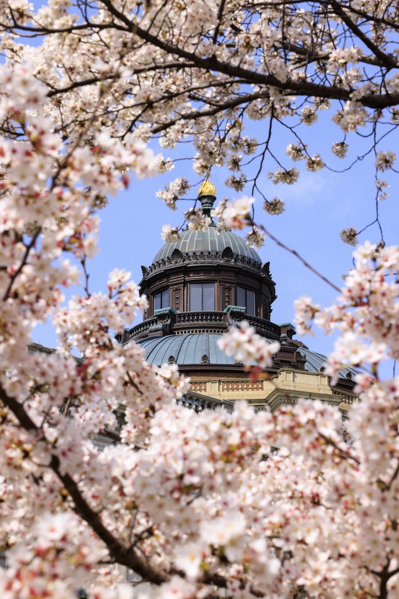Library of Congress tweet media