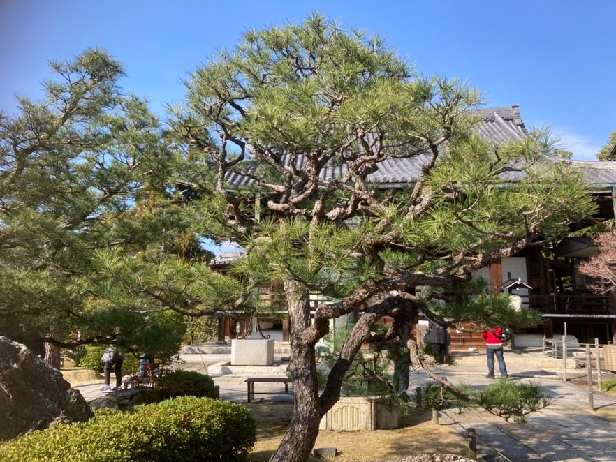 k-san&shemee tweet media