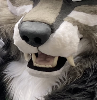 Corasik 🔜Confuzzled26 tweet media