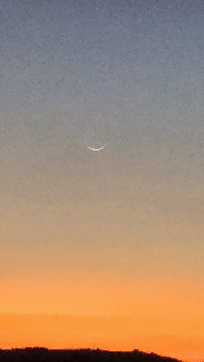 Be A Muslim Today tweet media