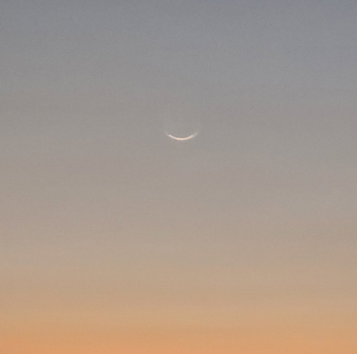 Be A Muslim Today tweet media