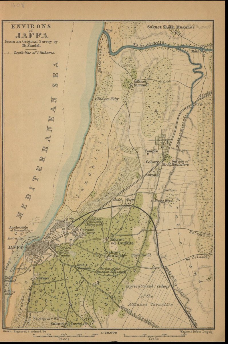 Elli Fischer tweet media