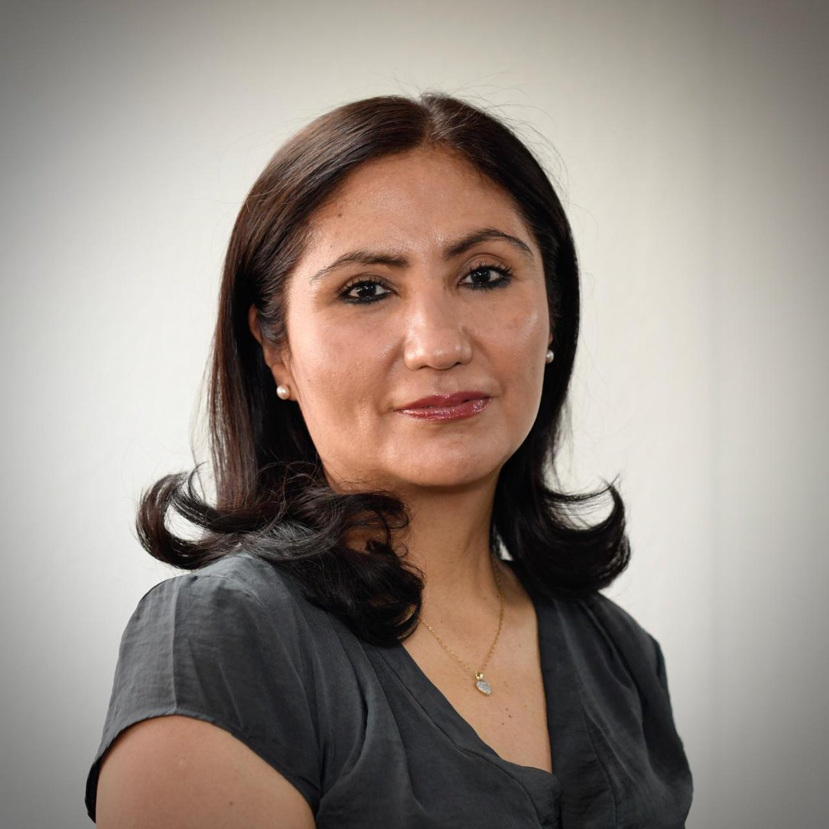 Factor Energético tweet media