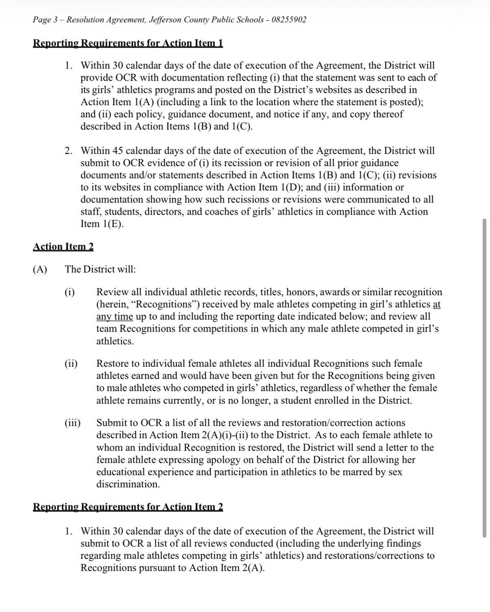 Lindsay Datko tweet media