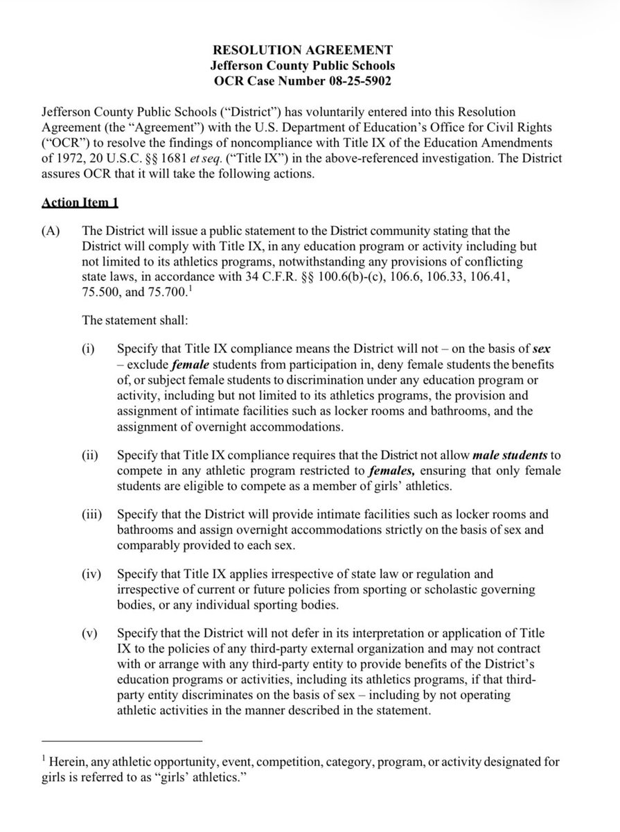 Lindsay Datko tweet media