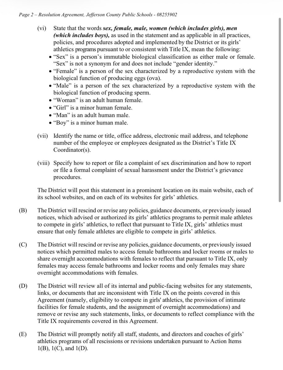 Lindsay Datko tweet media