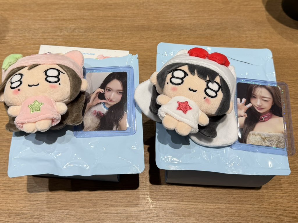 みみちゃん🎀 れいちゃん命名🤍 tweet media