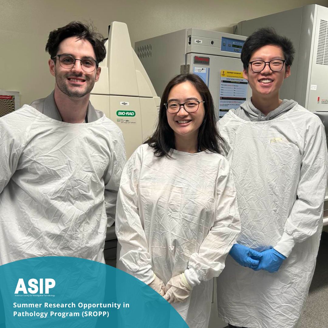 American Society for Investigative Pathobiology tweet media