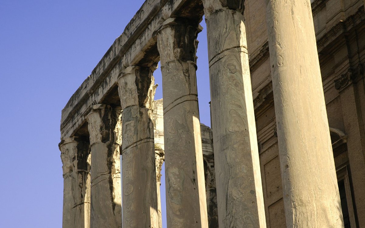 Earth.com tweet media