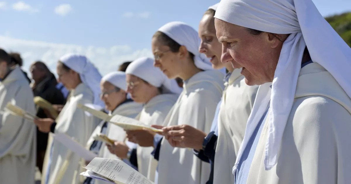 Agathe Zefiline 🐳 🗺 tweet media