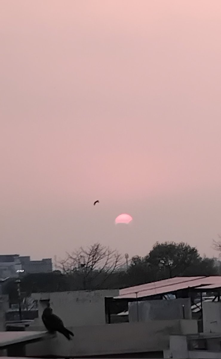 ꧁ քʀɛƈɨօʊֆ քɛǟʀʟ ꧂ tweet media