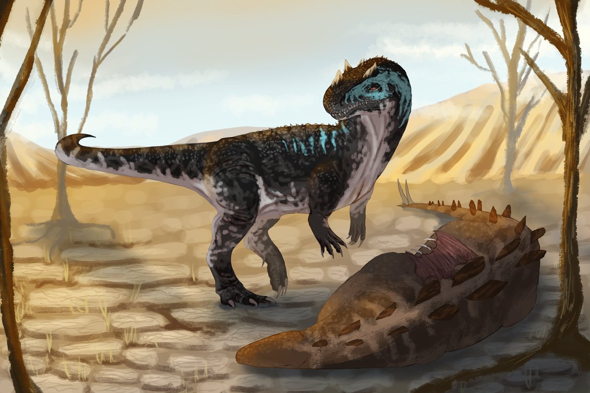 hainaiky | comms open 🦎 tweet media