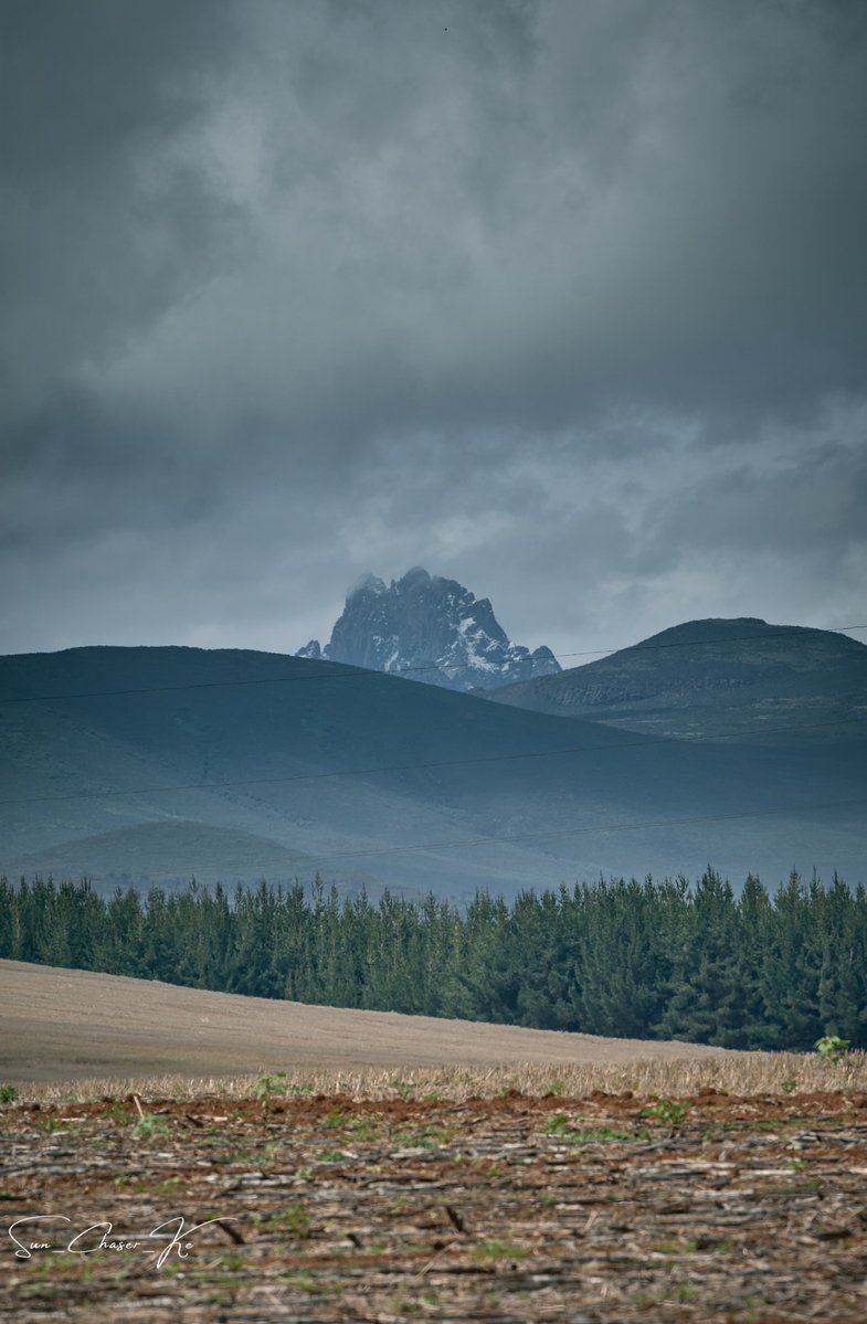 ˢᵘⁿ_ᶜʰᵃˢᵉʳ ☀️📸 tweet media