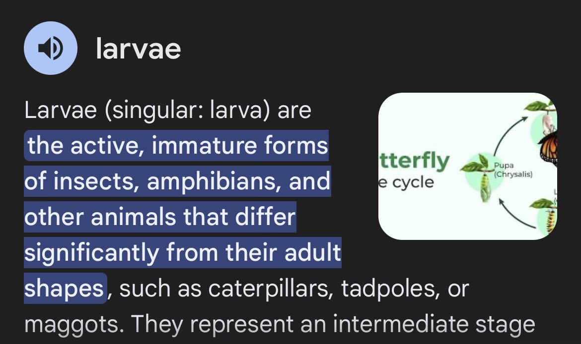 Indiffer Cinematic Universe tweet media