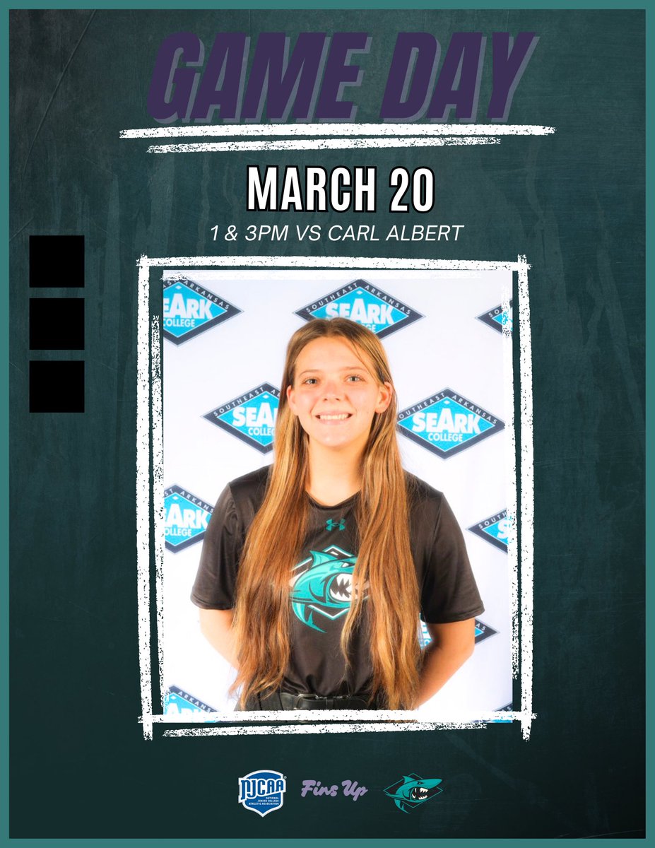 SEARK Softball tweet media