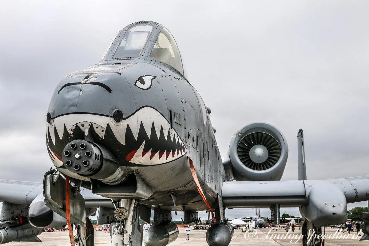 Lawrence 精卫 tweet media