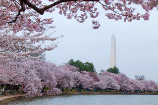 USDA Science tweet media