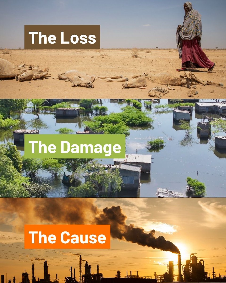 Power Shift Africa tweet media