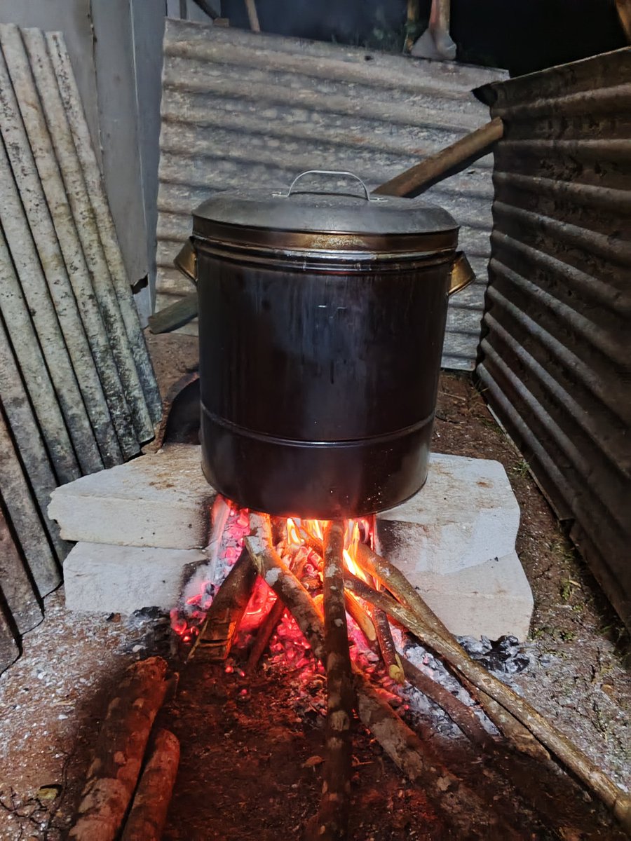 nengtari tweet media