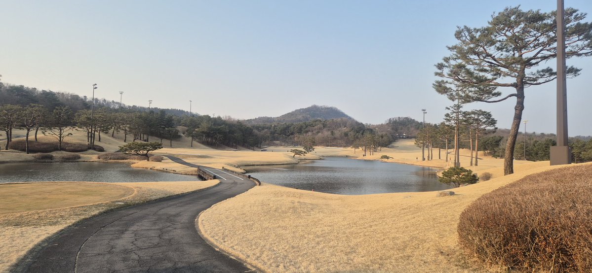 디벨로퍼 tweet media