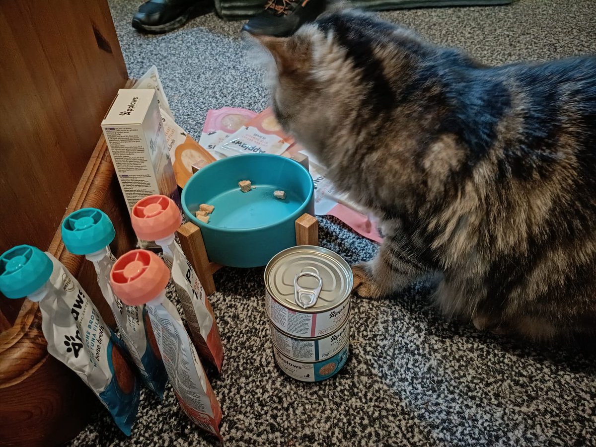 Barnabus Manchester tweet media