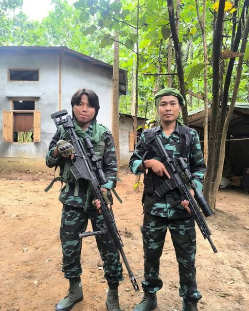 Rapid Reports tweet media