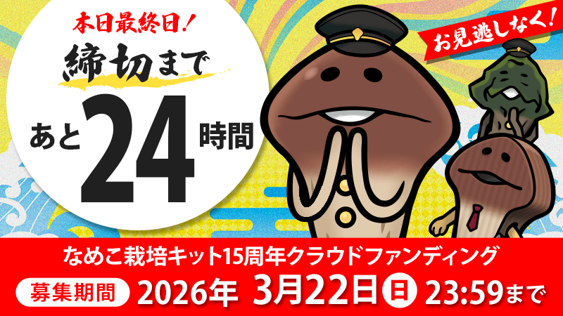 nameko_crowd's tweet photo. 【残り24時間・ネクストゴール1400万円挑戦中！】
「なめこ栽培キット」15周年記念クラウドファンディングプロジェクト支援受付は本日が最終日です！
お申し込み漏れがないかのチェックはマイページの「支援したプロジェクト」からご確認ください！
https://t.co/a5NYRzi7Vc https://t.co/pLrpKfSgGW