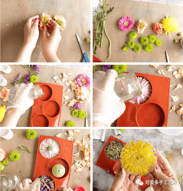 Alice Fanning tweet media