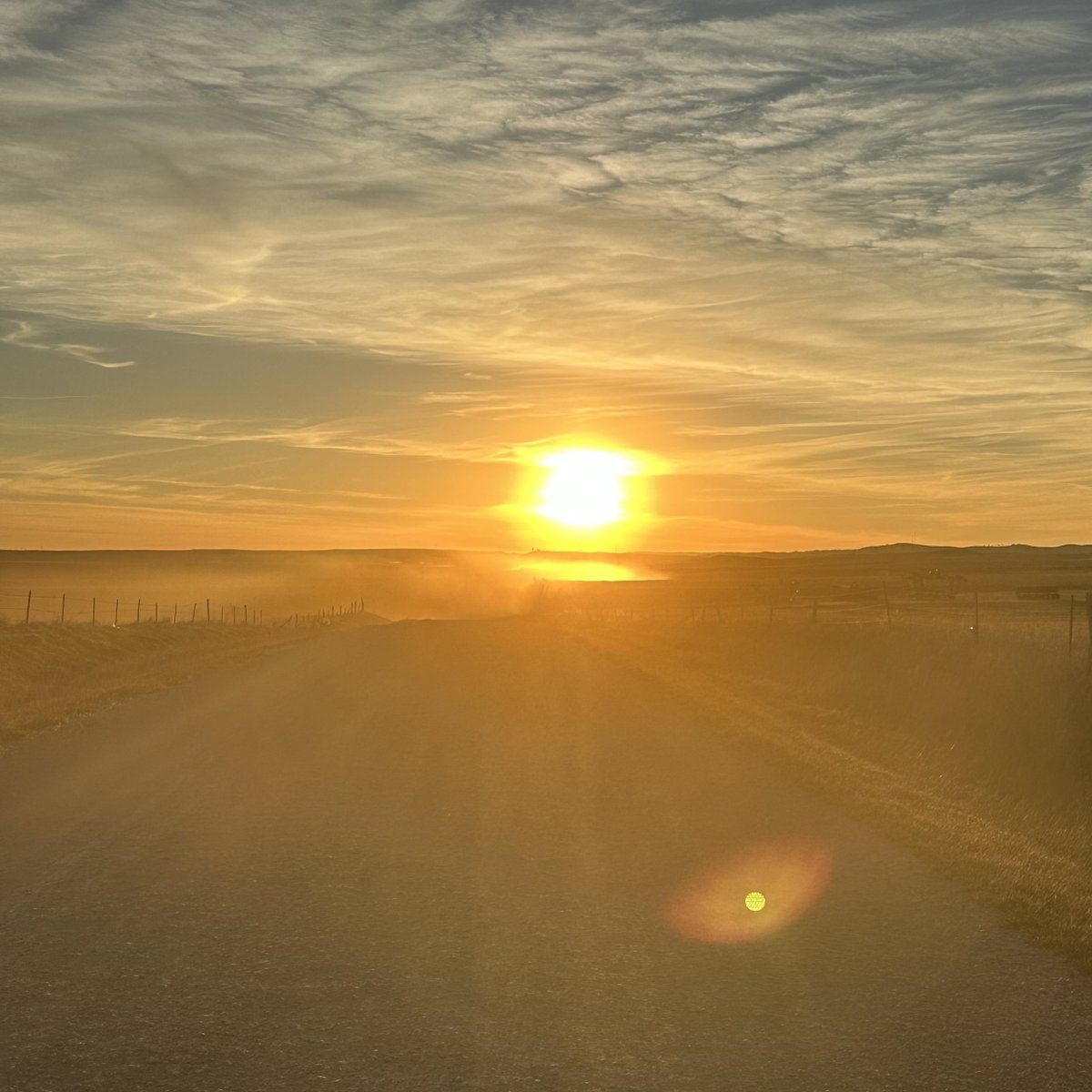 Casey Schuhmacher tweet media