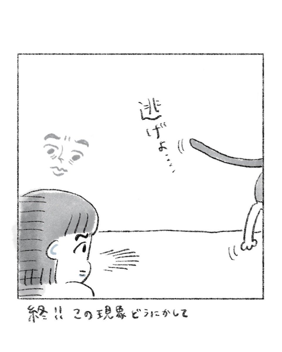 のなか海　書籍発売😽 tweet media