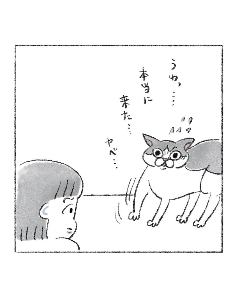 のなか海　書籍発売😽 tweet media