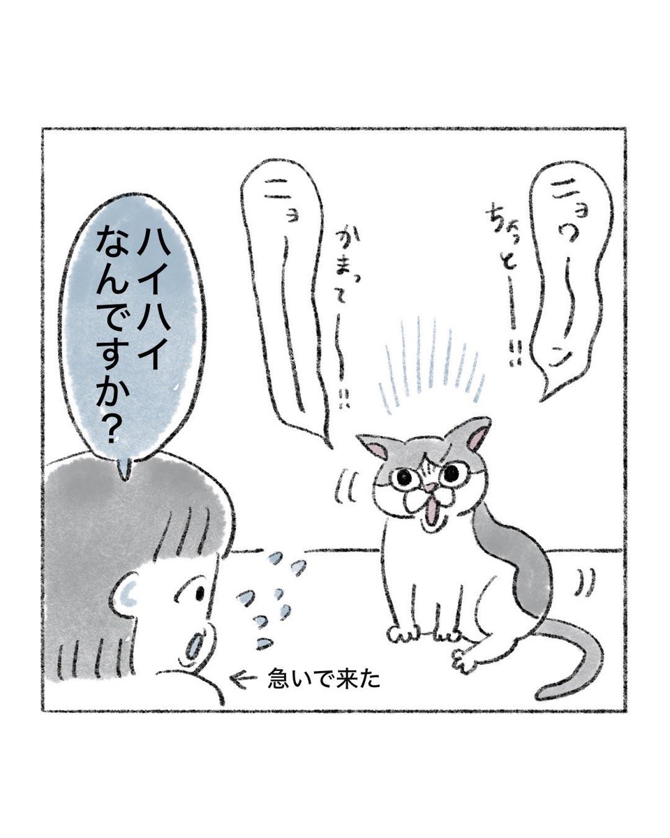 のなか海　書籍発売😽 tweet media