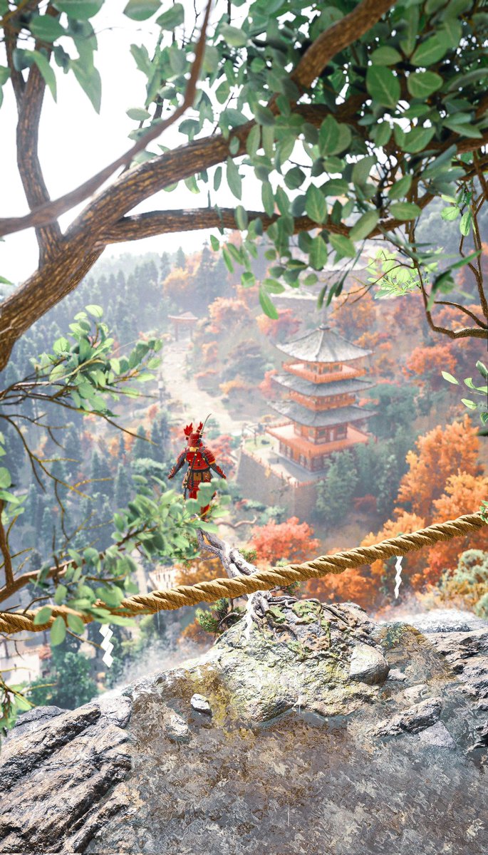 Lucas costa photographer tweet media