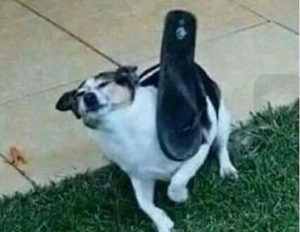 خُلود | 👩🏻💻 tweet media