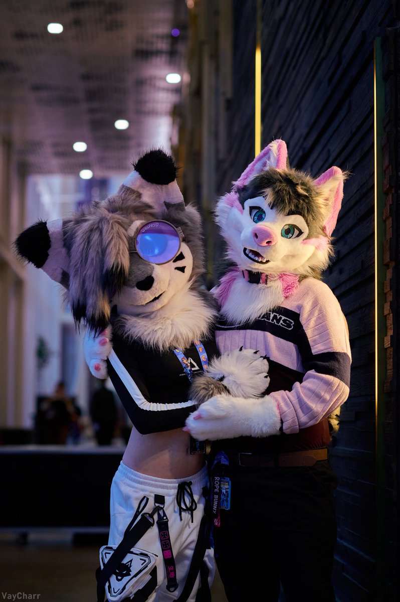 Alwa 🔜 CFz,EF tweet media