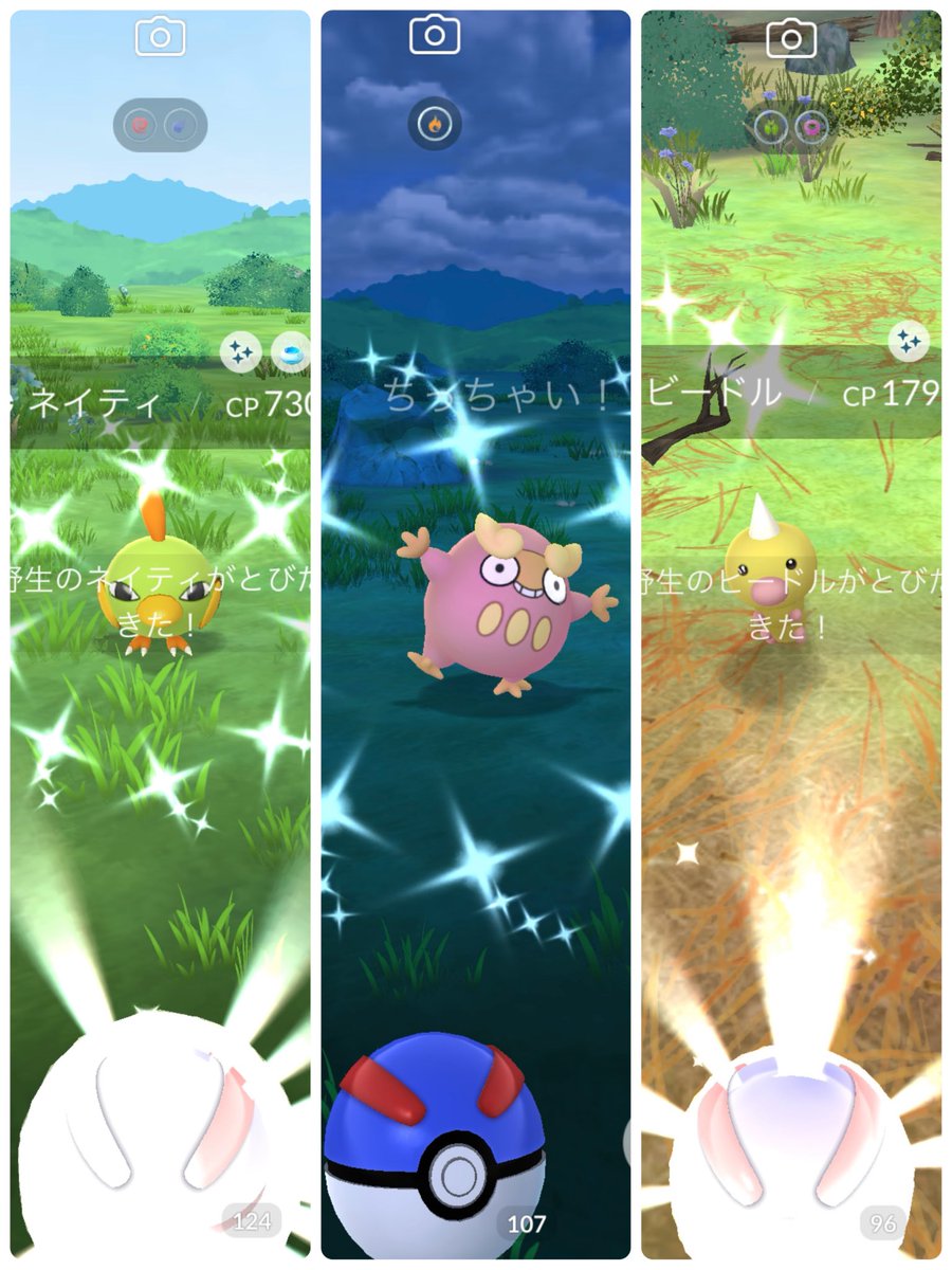 るい@Pokémon·͜· ᕷ tweet media