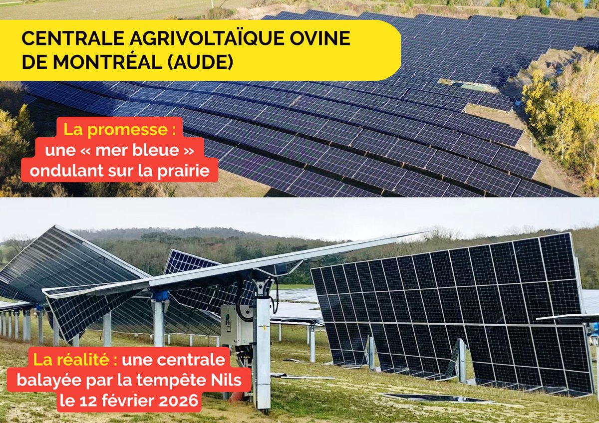 Nouveaux mandats électifs : pas de territoire repoussoir, vite un moratoire sur l'agrivoltaïsme !

Découvrez notre dernière newsletter : terrescommingeoises.fr/?mailpoet_rout…
Et notre article : terrescommingeoises.fr/pas-de-territo…

#agrivoltaïsme #photovoltaïque #Comminges #HauteGaronne <a href="/PrefetOccitanie/">Préfet d'Occitanie et de la Haute-Garonne</a>